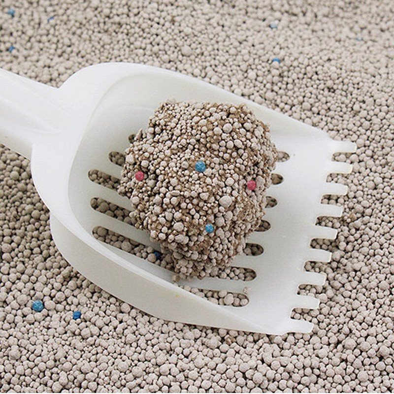 bentonite cat litter bulk