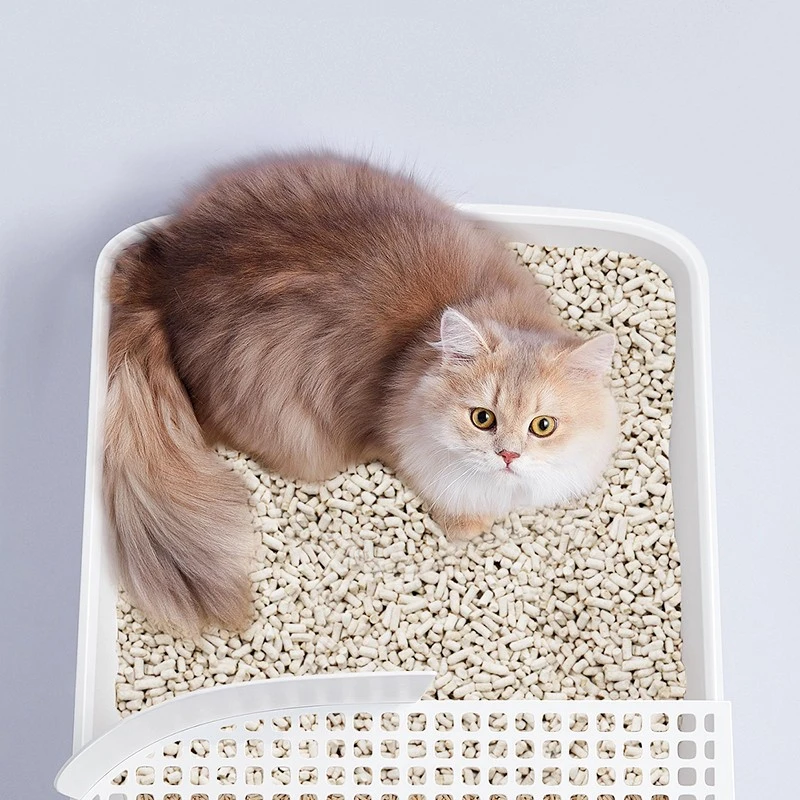 Paper Litter